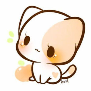 Meet your Posher, Dani